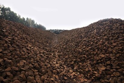 los paisajes del exceso - a Photographic Art Artowrk by rodrigo opazo